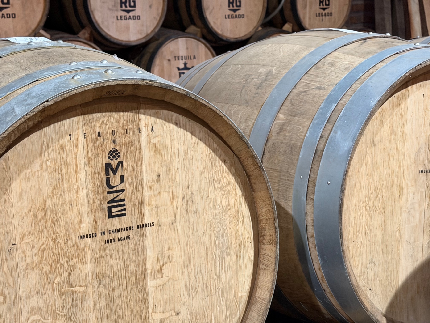 Maturation — MUZE
